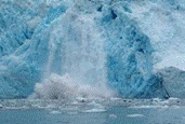 Blackstone Glacier calving in Prince William Sound