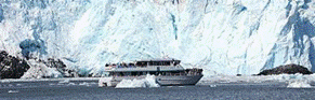 http://www.kenaifjords.com/files/1513/6623/2625/national_park_tour_bnr.jpg